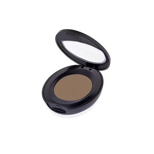 Golden Rose Puder do brwi 101