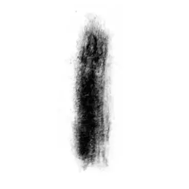 Lash Brow Brwi w butelce Deep Black